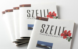 Stefan Guggenbichler  .art