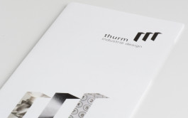 Stefan Guggenbichler  .art