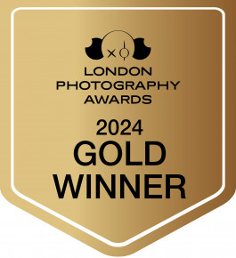 Stefan Guggenbichler .art