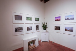 Stefan Guggenbichler .art