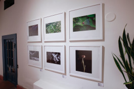 Stefan Guggenbichler .art