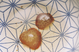 Stefan Guggenbichler .art