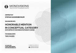 Stefan Guggenbichler .art