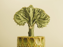 Stefan Guggenbichler .art