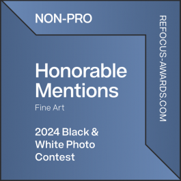 Stefan Guggenbichler .art