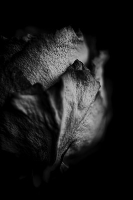 Stefan Guggenbichler .art