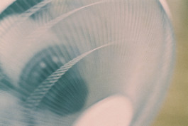 Stefan Guggenbichler .art