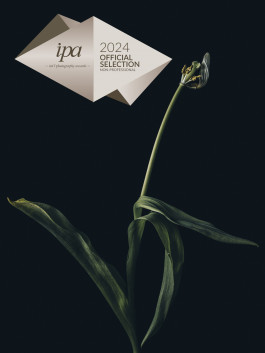 Stefan Guggenbichler .art