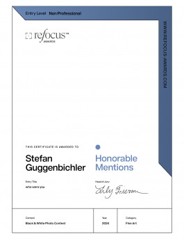 Stefan Guggenbichler .art