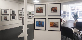 Stefan Guggenbichler .art