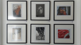 Stefan Guggenbichler .art