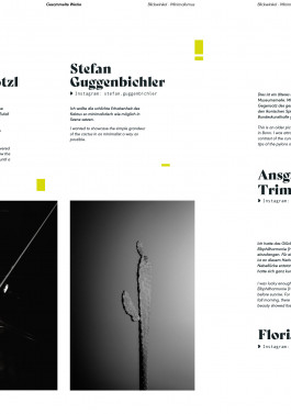 Stefan Guggenbichler .art