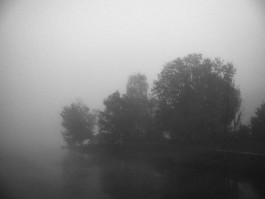 Stefan Guggenbichler .art