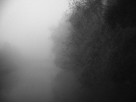 Stefan Guggenbichler .art