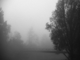 Stefan Guggenbichler .art