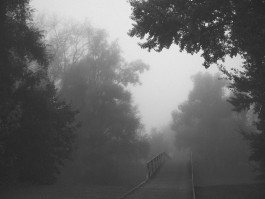 Stefan Guggenbichler .art