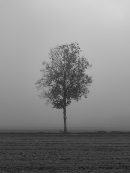 Stefan Guggenbichler .art