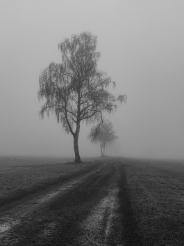 Stefan Guggenbichler .art