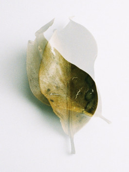 Stefan Guggenbichler .art