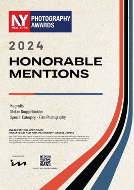 Stefan Guggenbichler .art