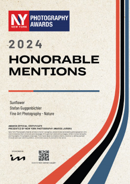 Stefan Guggenbichler .art