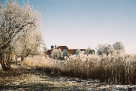 Stefan Guggenbichler .art