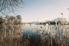 Stefan Guggenbichler .art