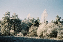 Stefan Guggenbichler .art