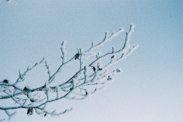 Stefan Guggenbichler .art