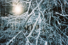 Stefan Guggenbichler .art