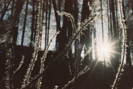 Stefan Guggenbichler .art