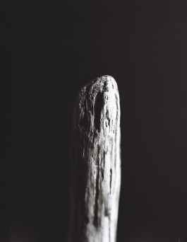 Stefan Guggenbichler .art