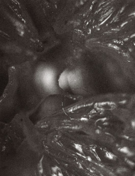 Stefan Guggenbichler .art