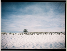 Stefan Guggenbichler .art