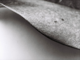 Stefan Guggenbichler .art