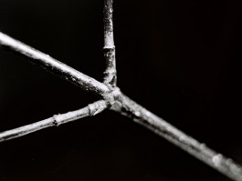 Stefan Guggenbichler .art