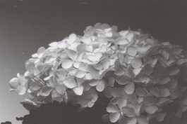 Stefan Guggenbichler .art