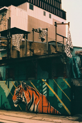 Stefan Guggenbichler .art