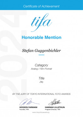 Stefan Guggenbichler .art