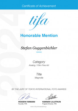 Stefan Guggenbichler .art