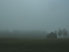 Stefan Guggenbichler .art