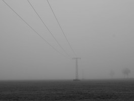 Stefan Guggenbichler .art