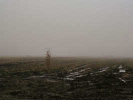 Stefan Guggenbichler .art