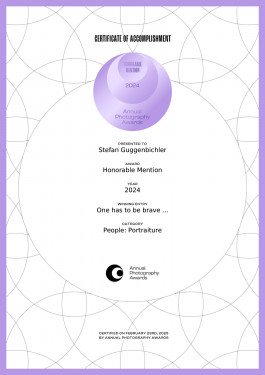 Stefan Guggenbichler .art