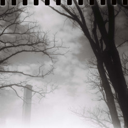 Stefan Guggenbichler .art