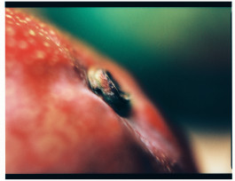 Stefan Guggenbichler .art