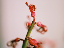 Stefan Guggenbichler .art