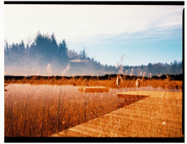 Stefan Guggenbichler .art