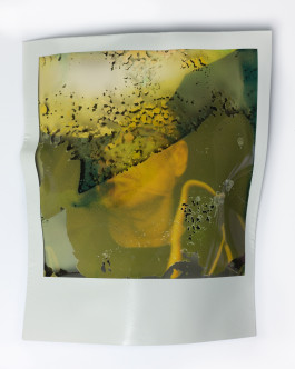 Stefan Guggenbichler .art