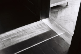 Stefan Guggenbichler .art